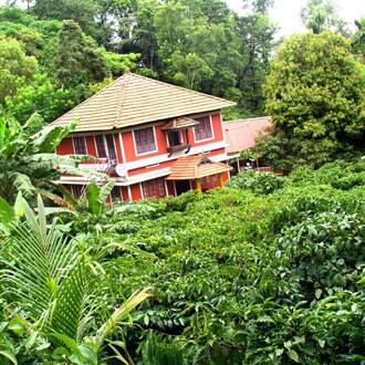 Coffea Aroma Resorts, Wayanad 4
